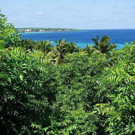 Mangga Lodge ビラ エクステリア 写真